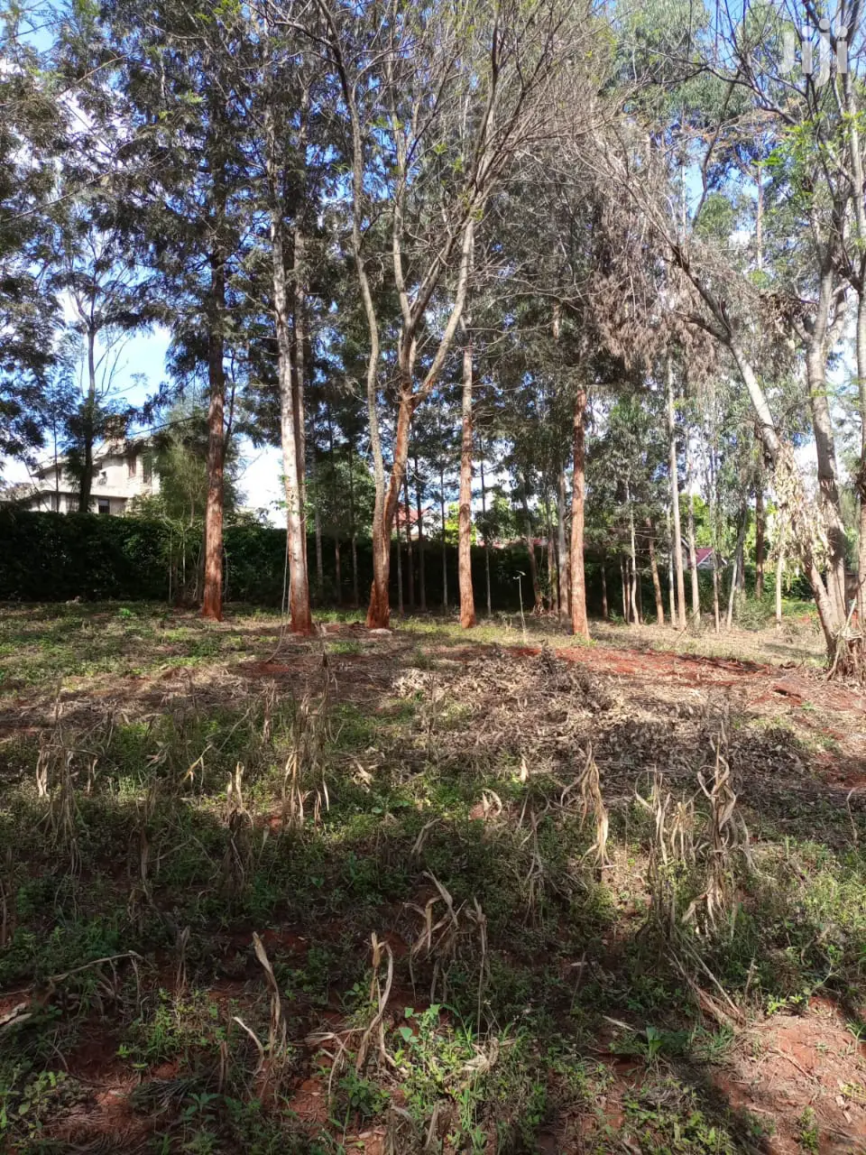 Very Very Prime Plots At Muthithi Kiambu Opposite Kist