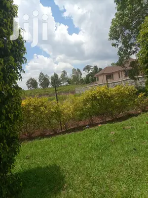 Very Very Prime Land 1/2 An Acre Muthithi Rd