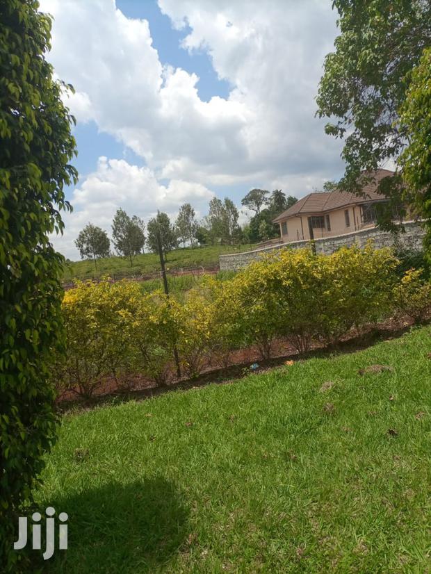 Very Very Prime Land 1/2 An Acre Muthithi Rd - thumbnail 2