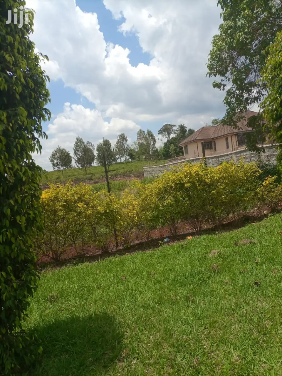 Very Very Prime Land 1/2 An Acre Muthithi Rd