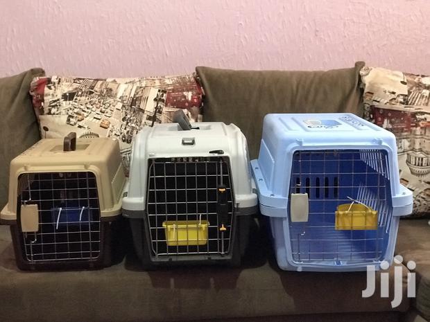 Animal Cage - main view