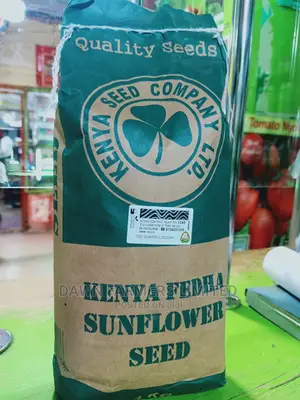 Sunflower Seeds