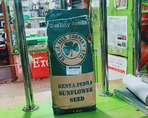 Sunflower Seeds