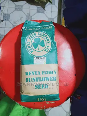 Sunflower Seeds