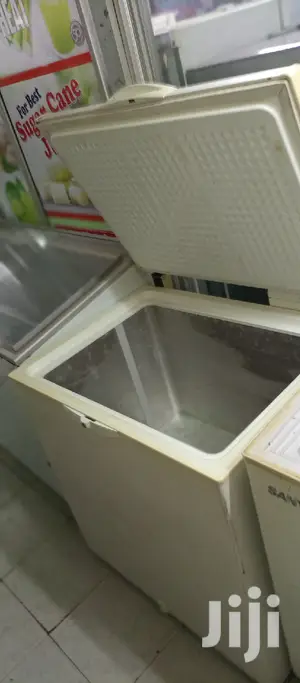 Deep Freezer 245L