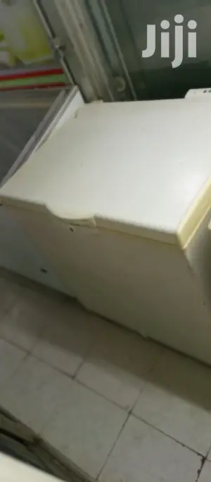 Deep Freezer 245L