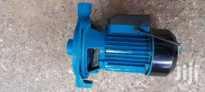 Premier Booster Waterpump 1HP Head 20m Pr100