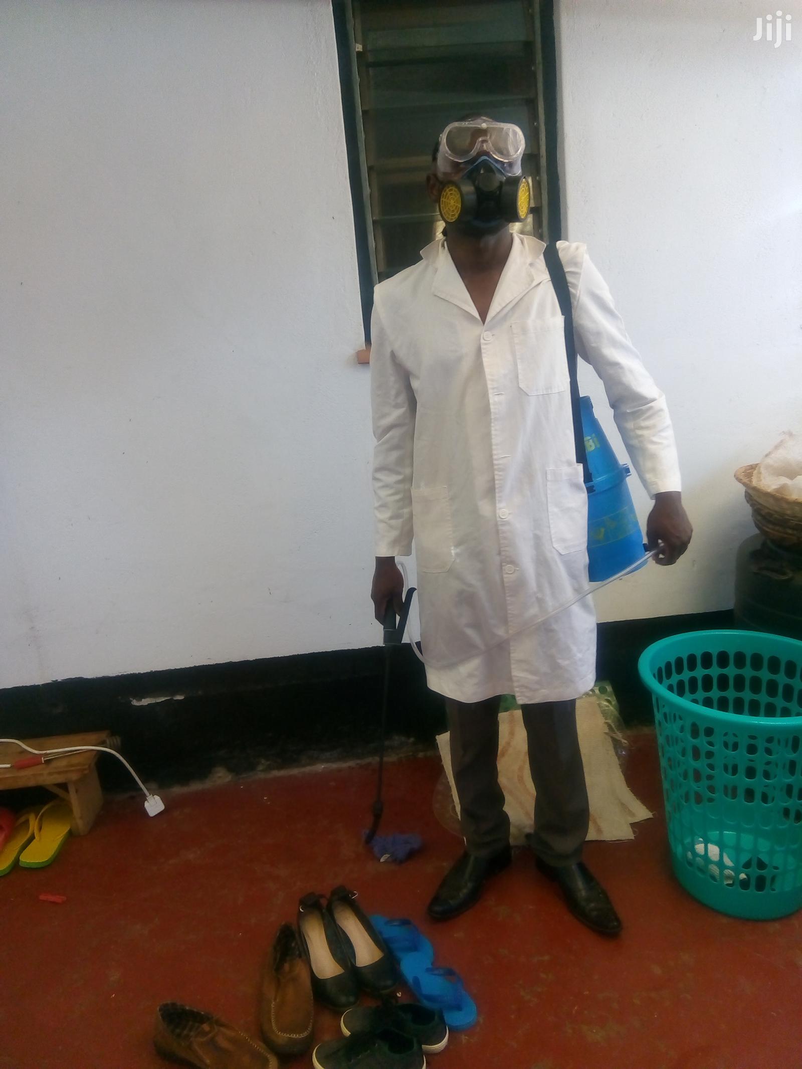 Get Affordable N Reliable Pest Control Services Eg Bedbugs Etc