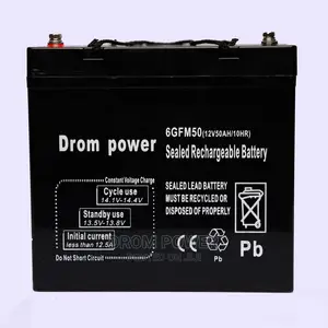 Drom Power 12V 24ah Battery