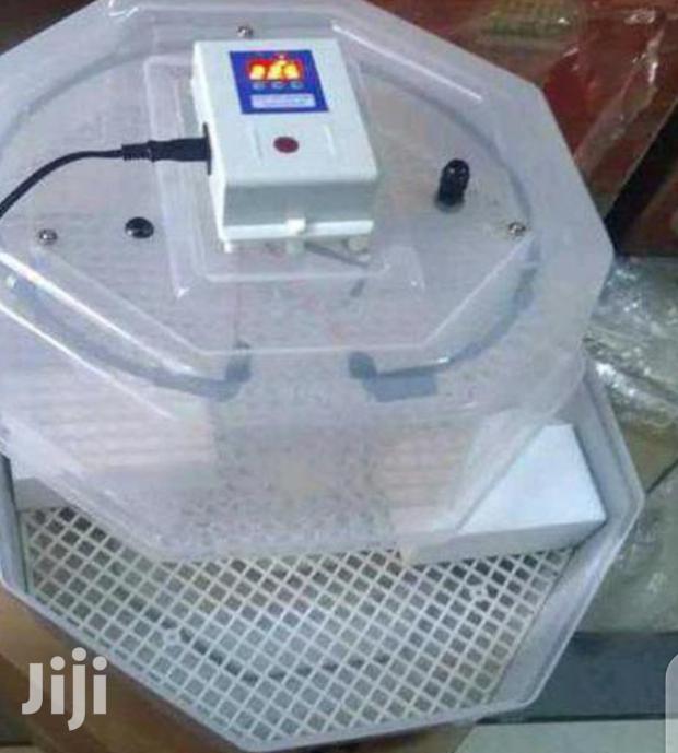 60 Egg Incubator - main view