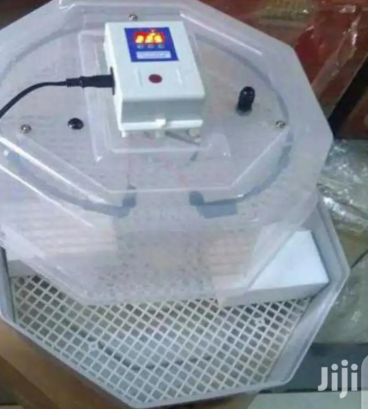60 Egg Incubator
