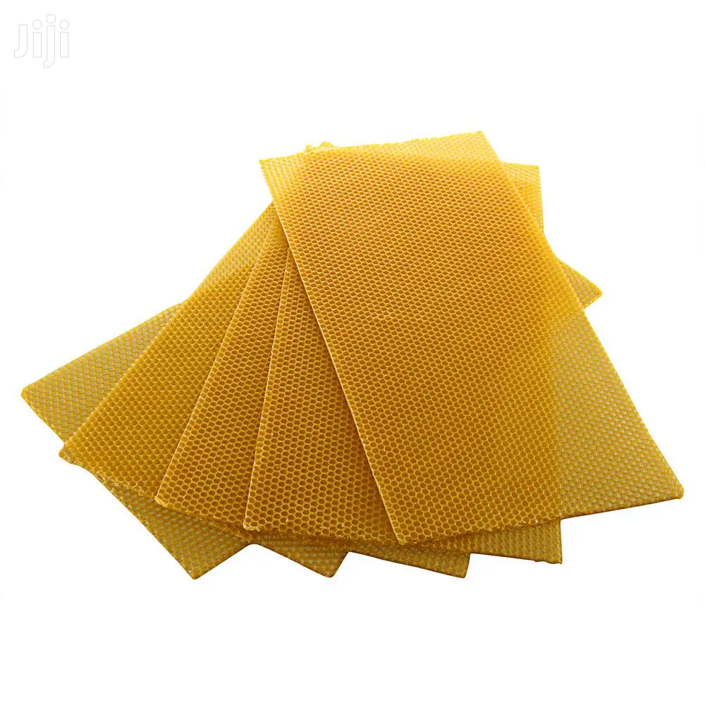 Foundation Bee Wax. Starter Combs