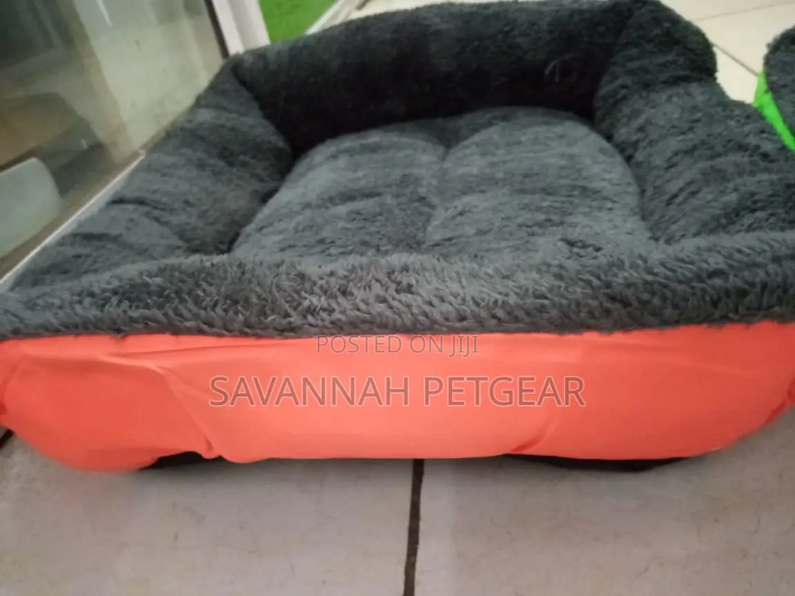 Comfy Dog Beds for Sale - Small Size