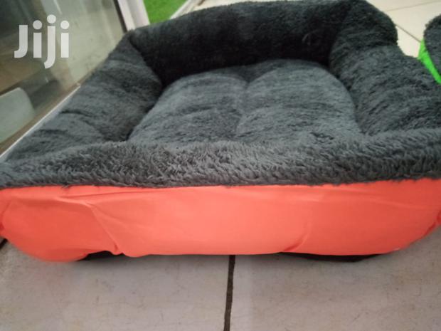 Comfy Dog Beds for Sale - Small Size - thumbnail 8