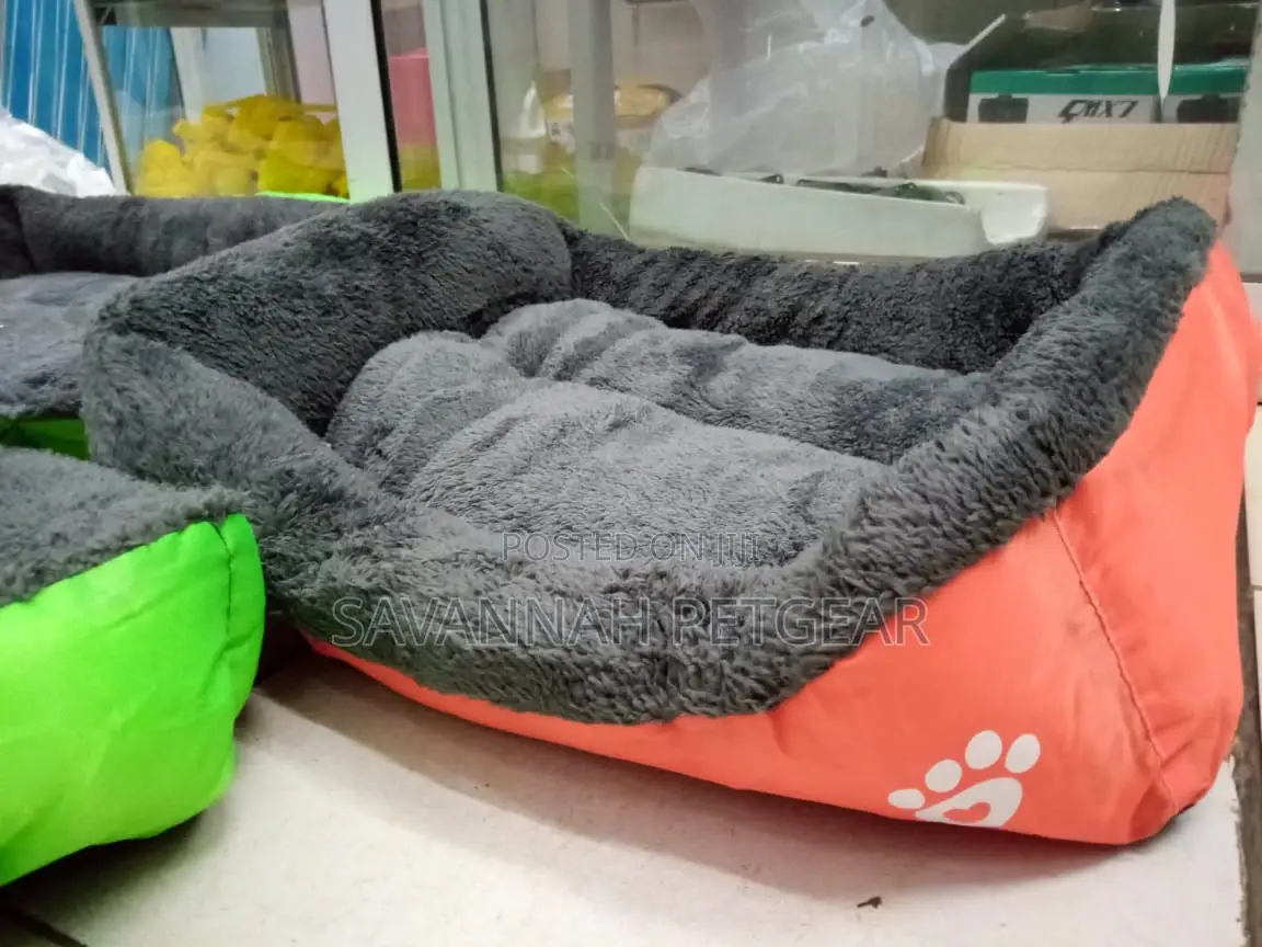 Comfy Dog Beds for Sale - Small Size