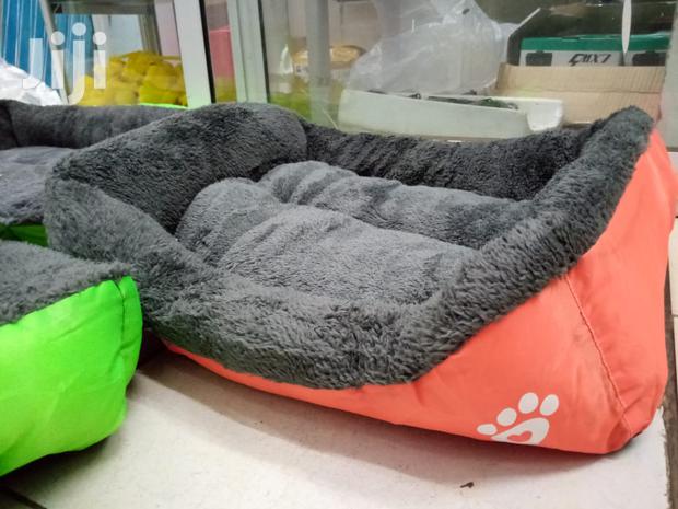 Comfy Dog Beds for Sale - Small Size - thumbnail 7