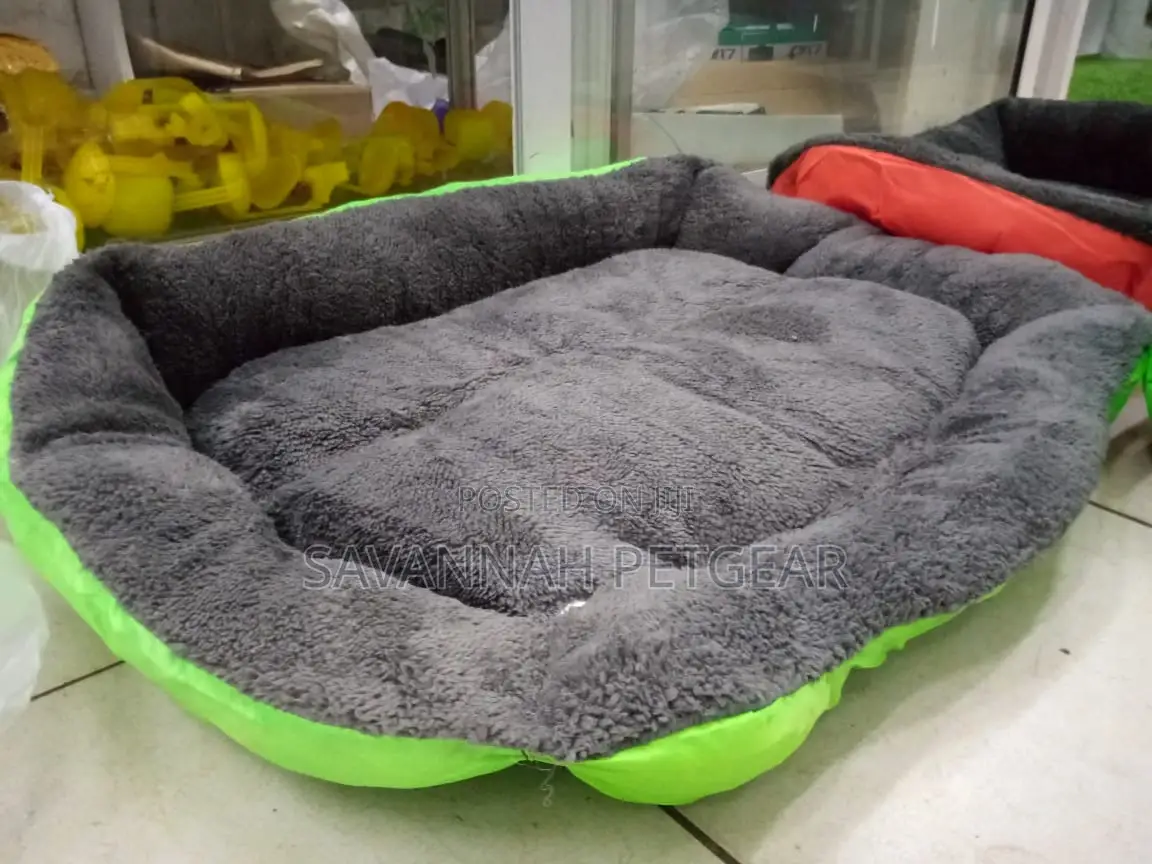 Comfy Dog Beds for Sale - Small Size