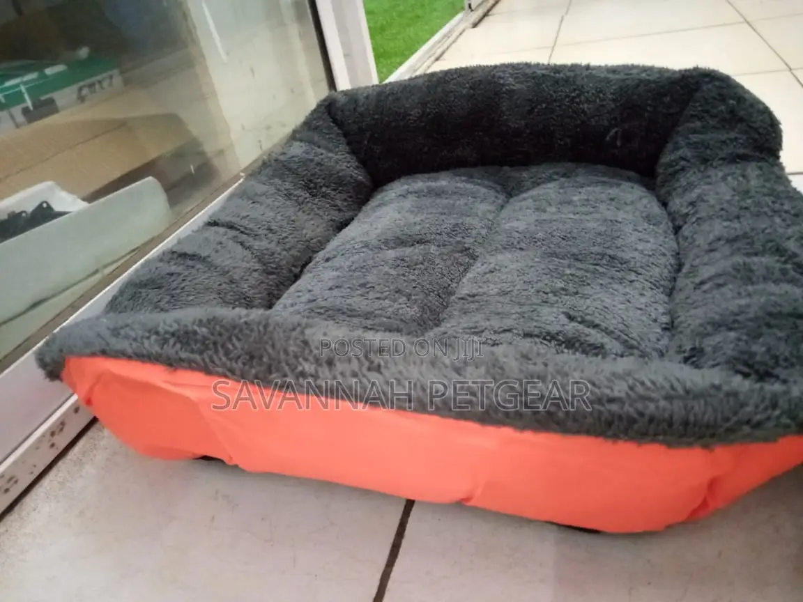 Comfy Dog Beds for Sale - Small Size