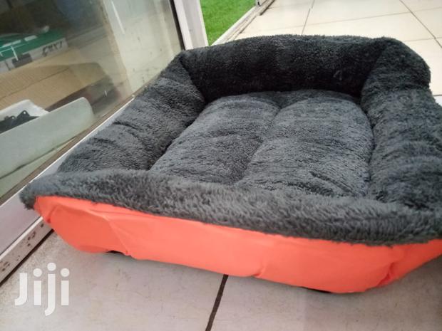 Comfy Dog Beds for Sale - Small Size - thumbnail 9