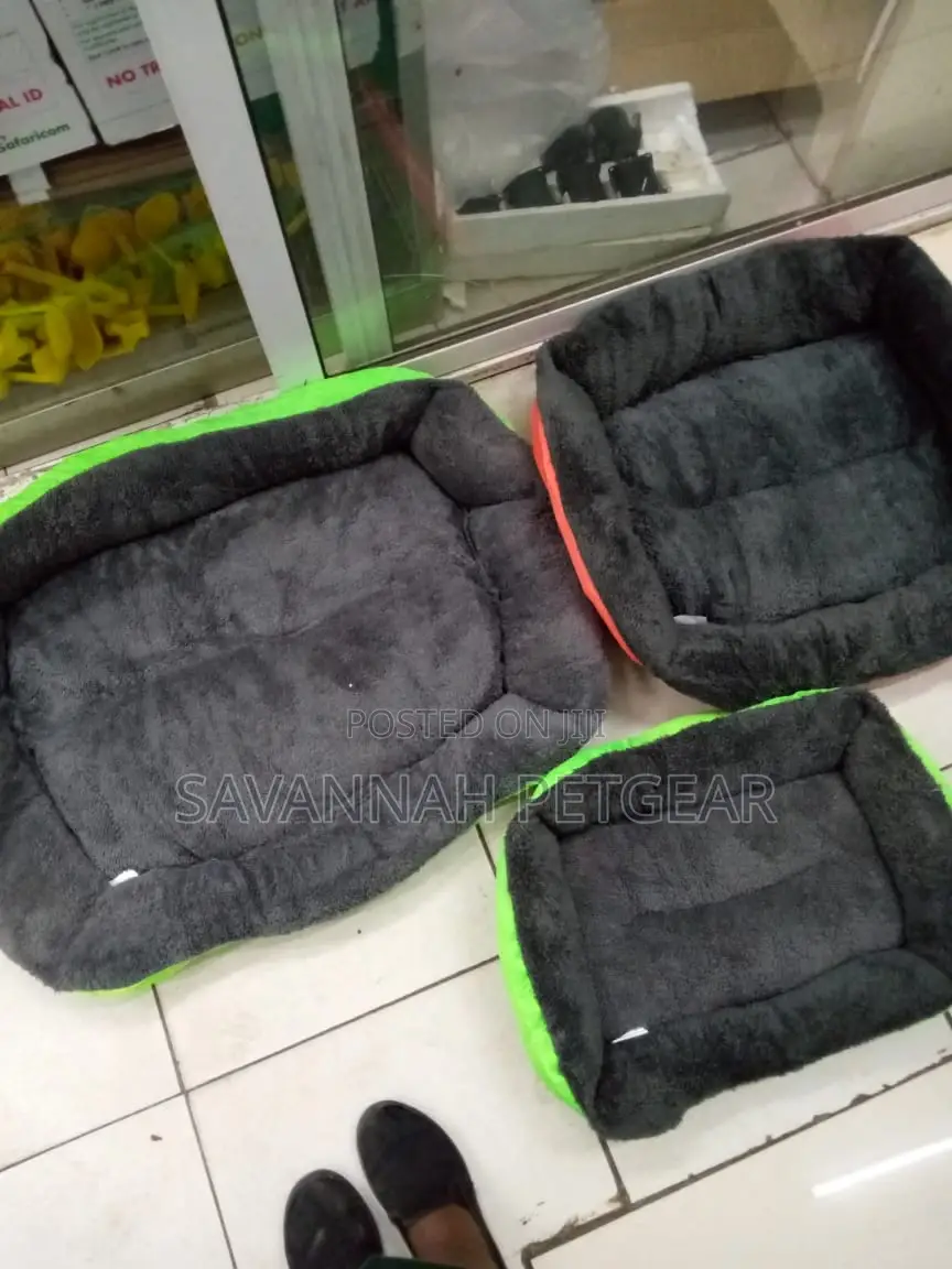 Comfy Dog Beds for Sale - Small Size