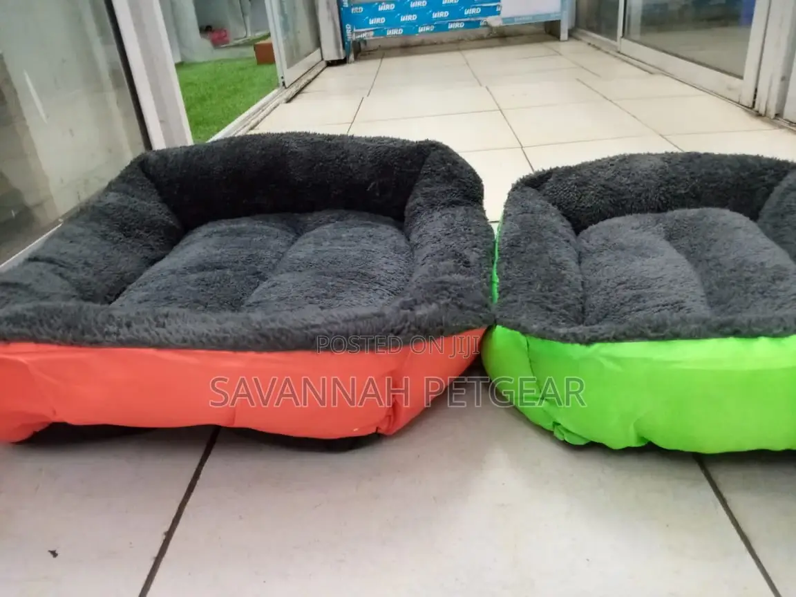 Comfy Dog Beds for Sale - Small Size