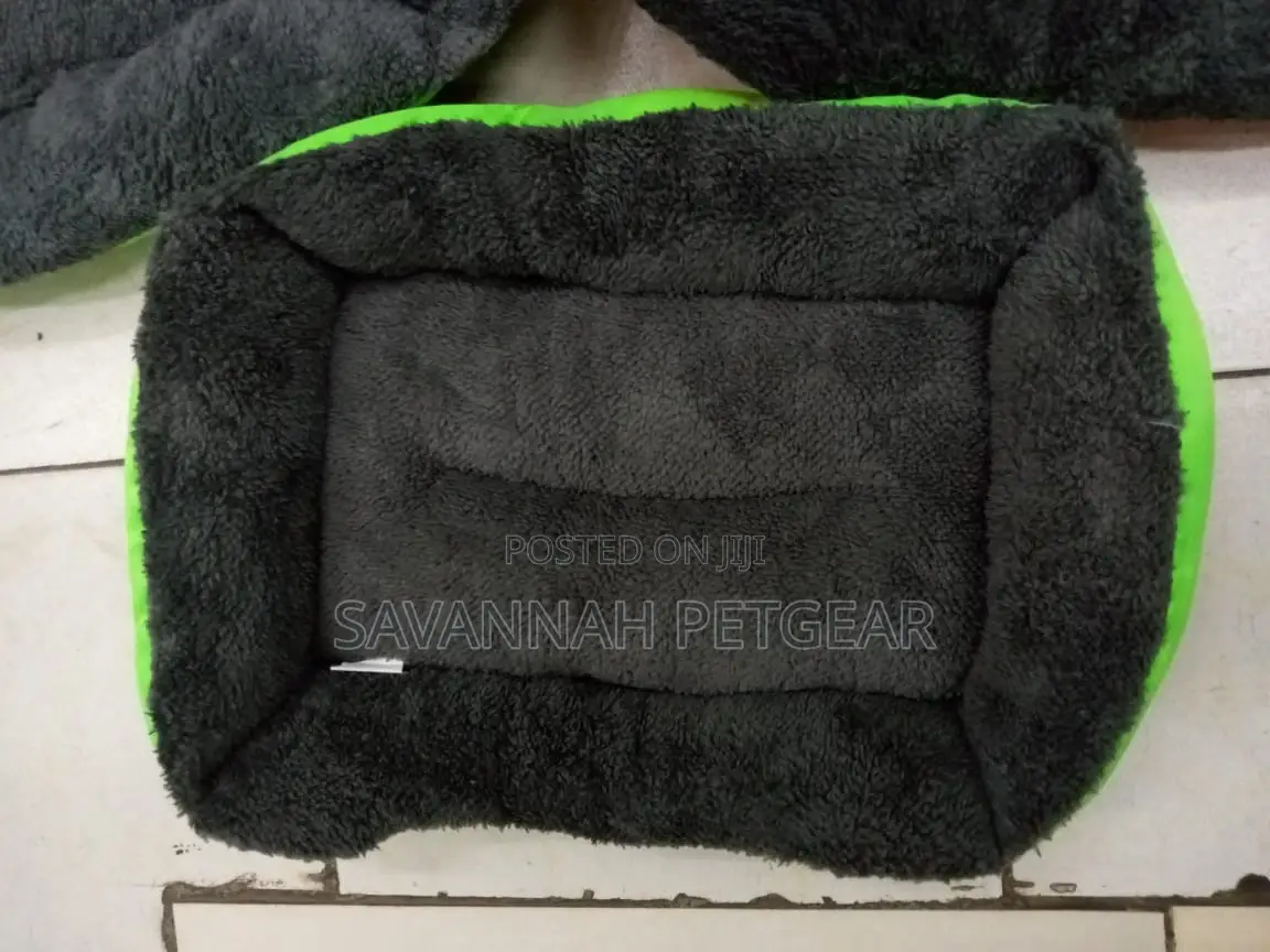 Comfy Dog Beds for Sale - Small Size