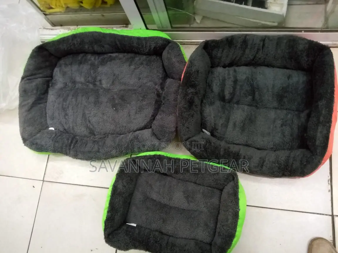 Comfy Dog Beds for Sale - Small Size