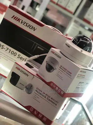 Nanny And CCTV Camera