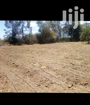 Drip Irrigation Greenhouse Installation
