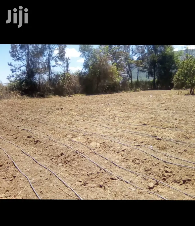 Drip Irrigation Greenhouse Installation