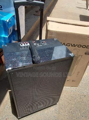 15 Inch Rechargeable Portable Powered Speakers - thumbnail 2