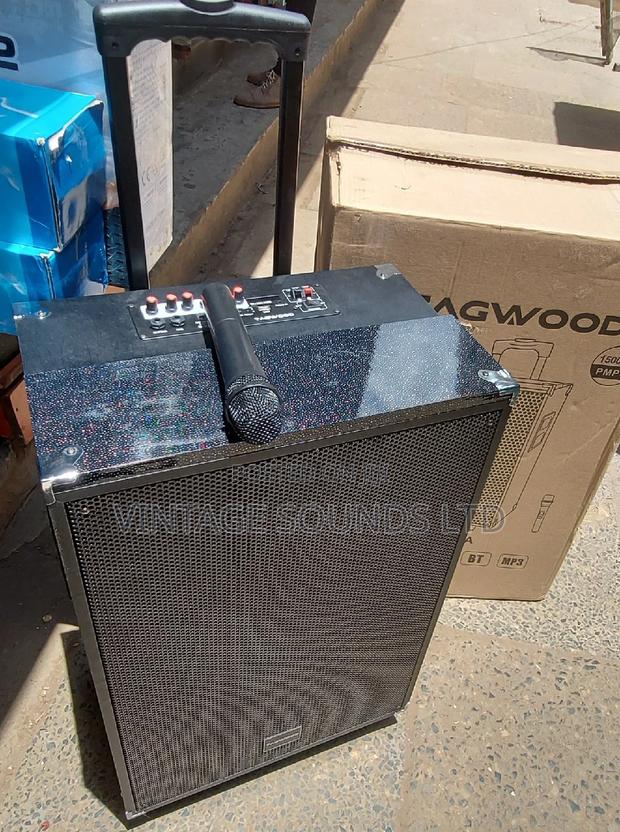 15 Inch Rechargeable Portable Powered Speakers - main view