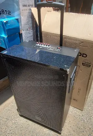 15 Inch Rechargeable Portable Powered Speakers