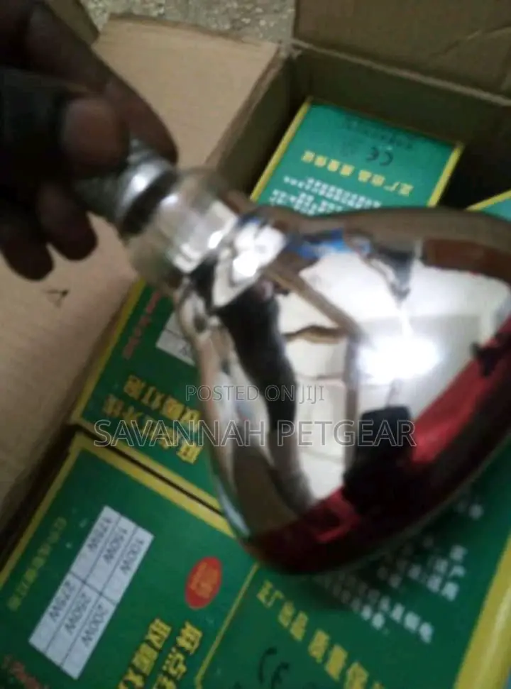 Brooder Lamps for Chicks and Piglets