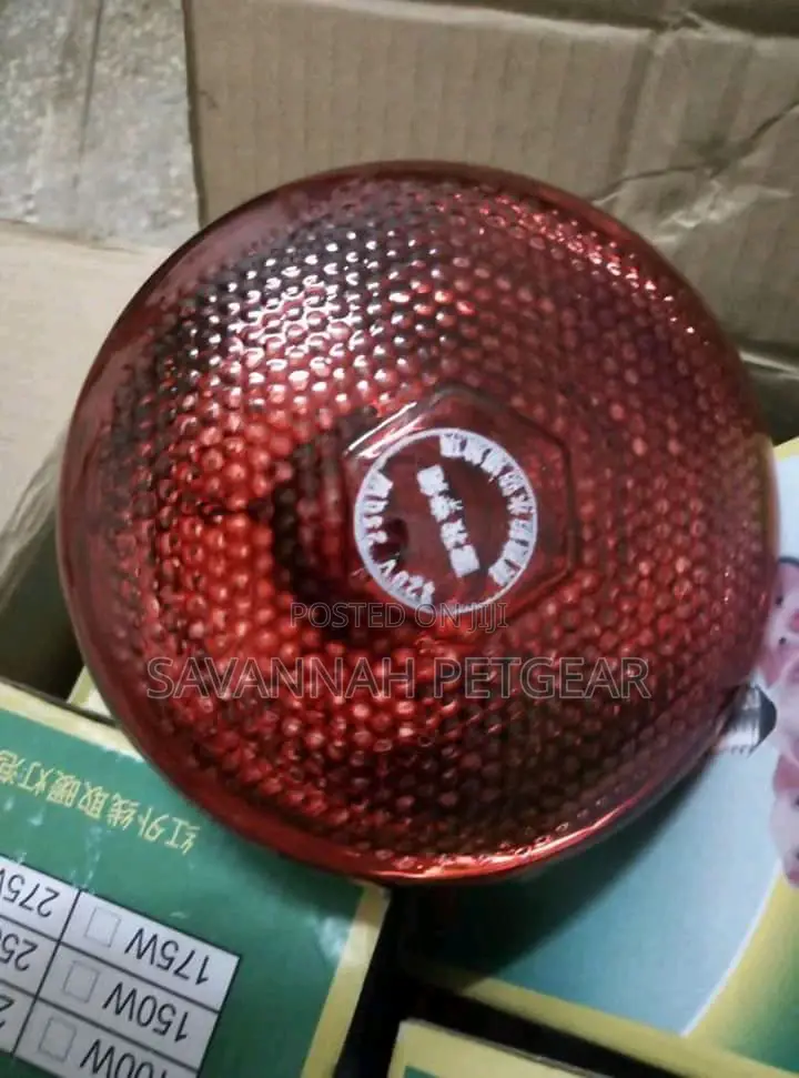Brooder Lamps for Chicks and Piglets