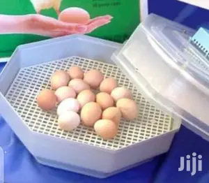 Efficient 60 Egg Incubator