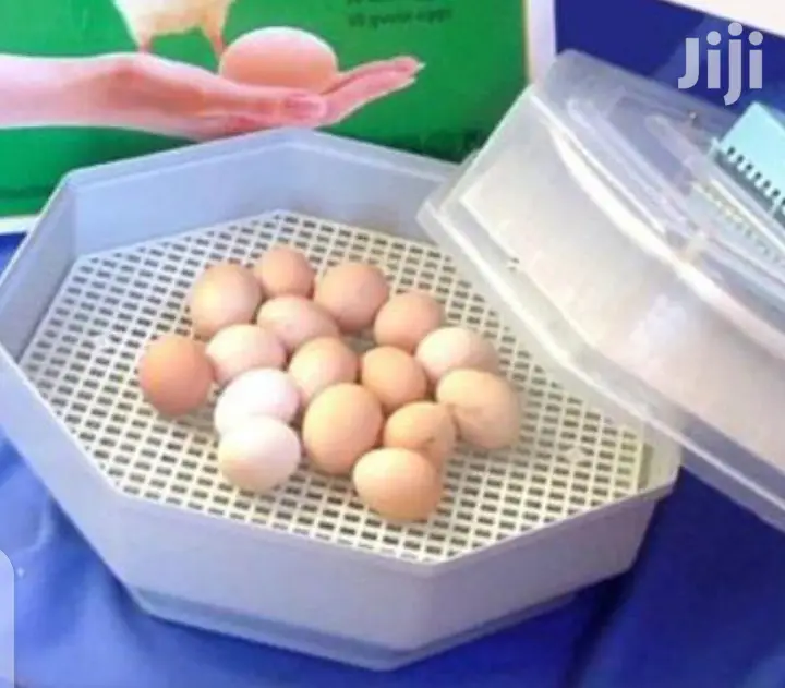 Efficient 60 Egg Incubator