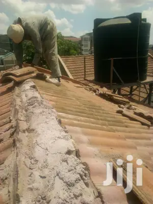 Replacement For Brocken Roofing Tiles And Repairs Of Roof