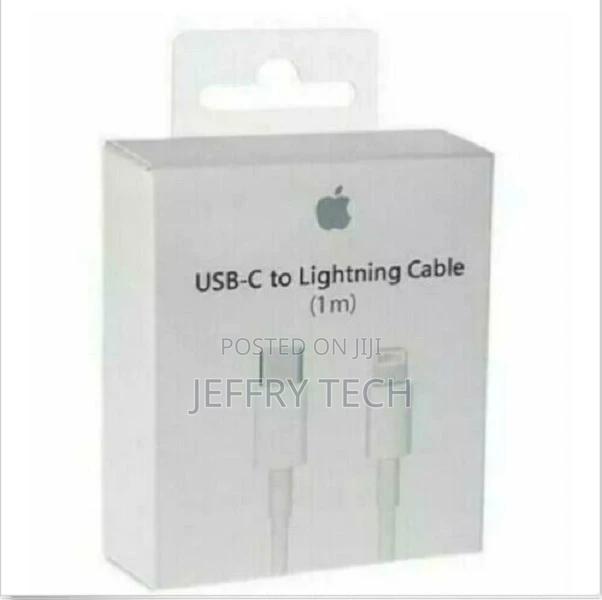 1M Apple Lightning USB Cable Charger for iPhone 6 6s 7 8 Plu - main view