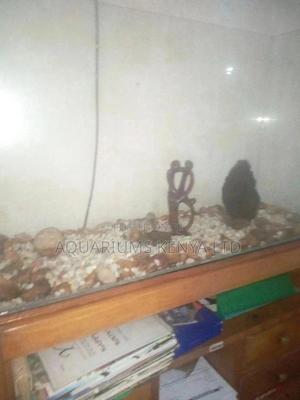 Aquariums Custom Made Available - thumbnail 2