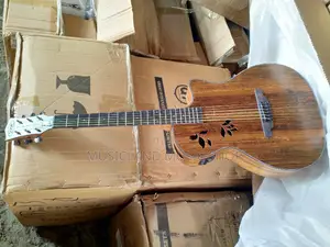 High Quality Semi Acoustic