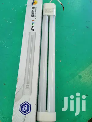 12wart Pl Bulbs
