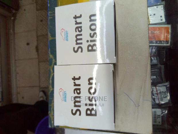 Bison Smart Watch - main view