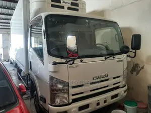 Isuzu ELF Truck 2017