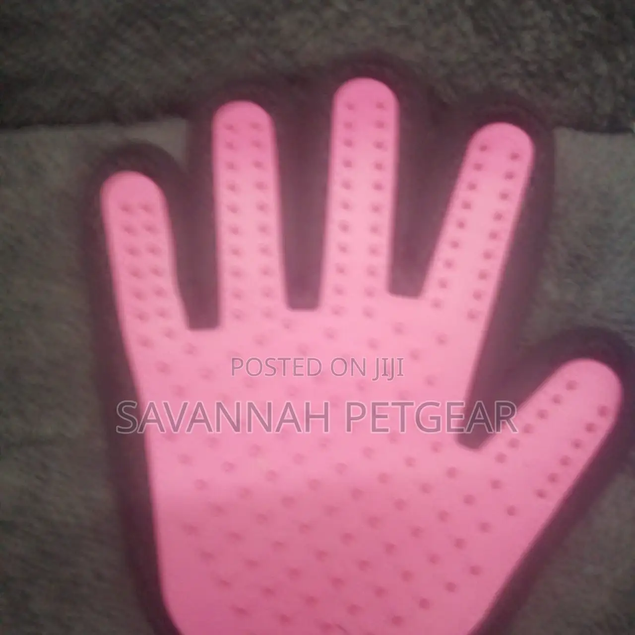 Pet Grooming and Massage Glove