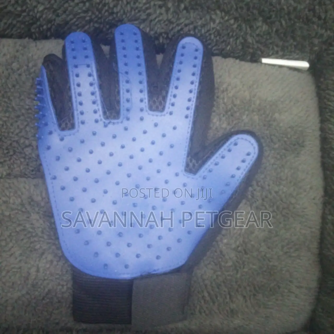 Pet Grooming and Massage Glove