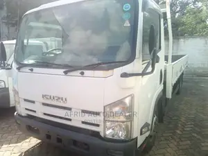 Isuzu ELF Truck 2017 White