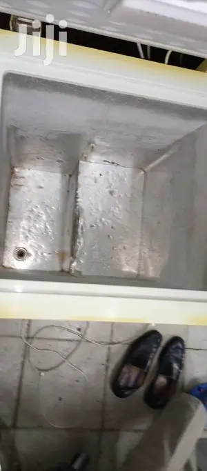 100L Freezer