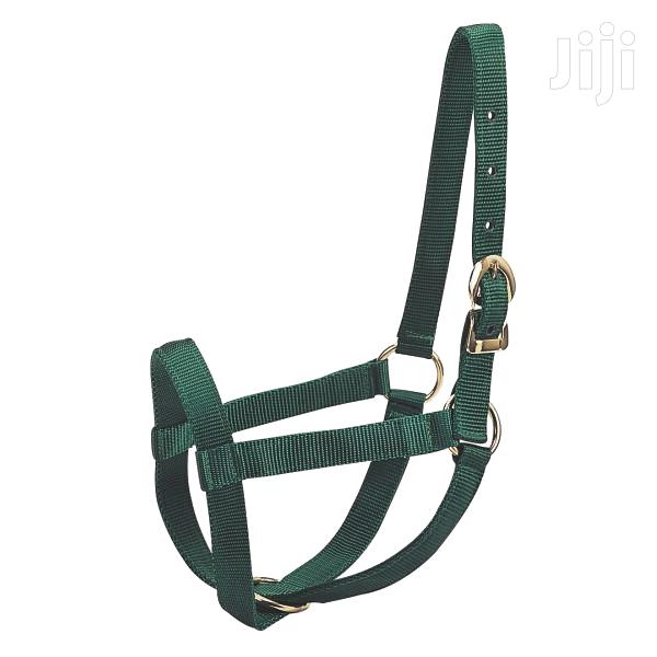 Cow Halter - main view