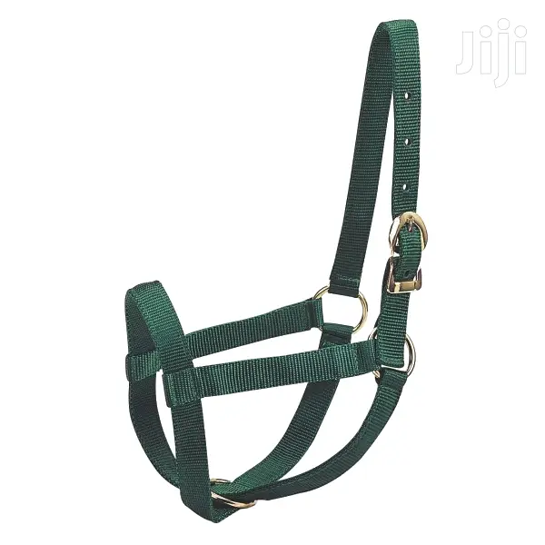Cow Halter